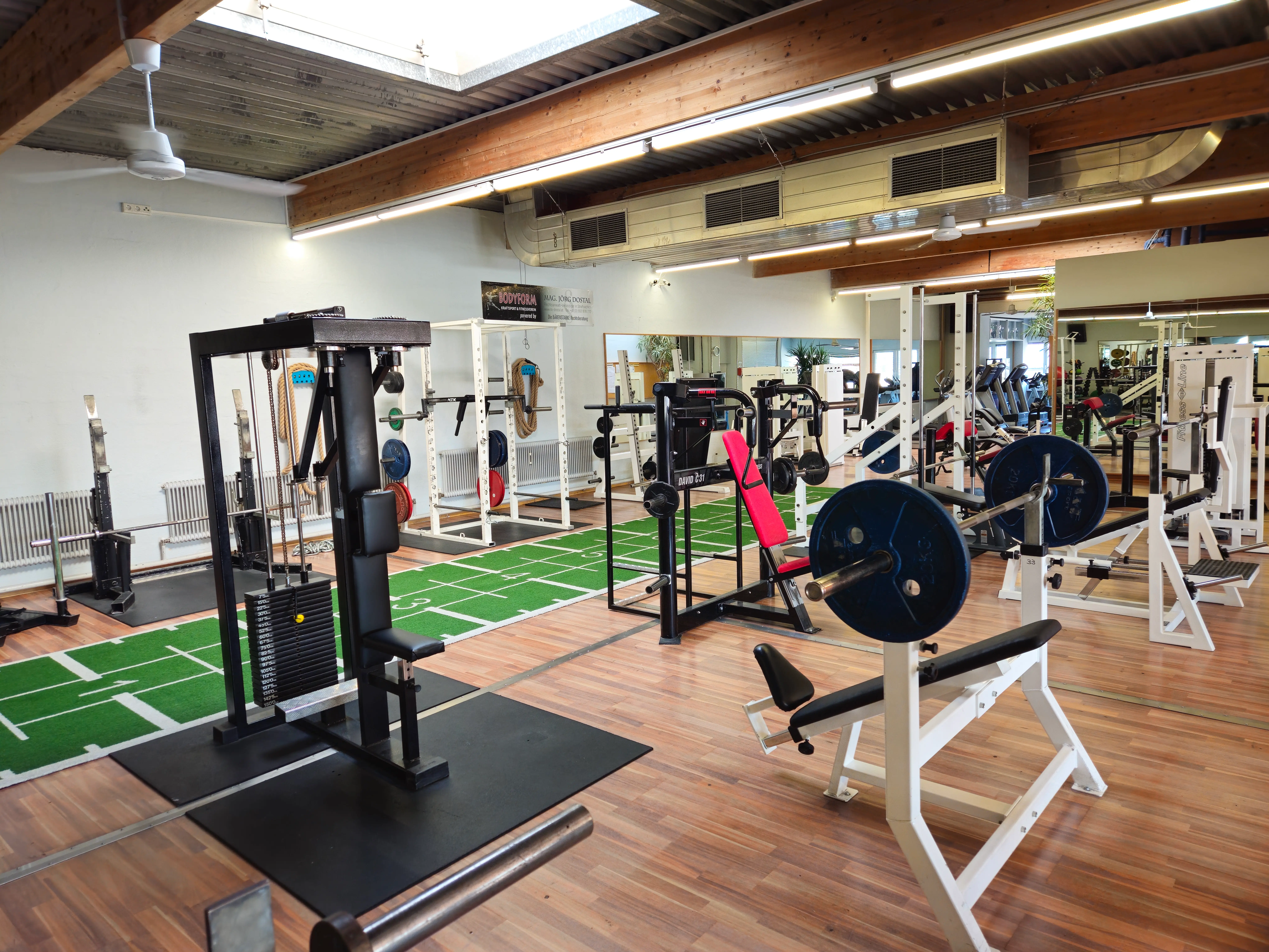 Schrägbank, Brustmaschine, Reverse Fly, Racks, Dips